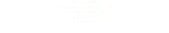 SUSAN JANSER «Le blanc du maroc l» Objekt / 2015 75 X 60 / Acryl auf Holz datiert und signiert Ref. Nr. 1525